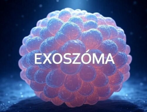 Exoszóma kezelés vs. Botox és Filler: A bőrfiatalítás új korszaka